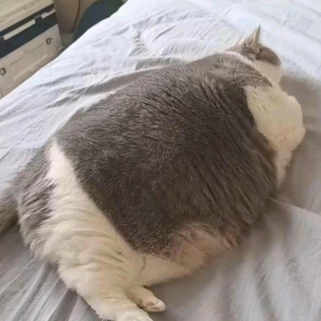 阿U