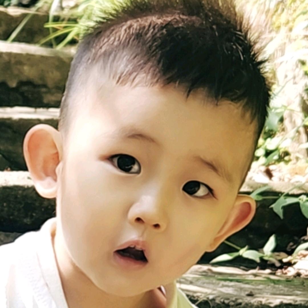 倾慕的冷