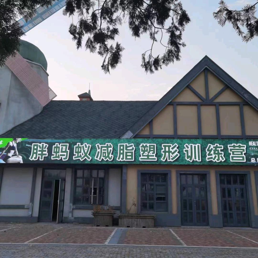 胖蚂蚁健身运动