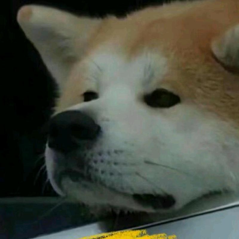 蓝桉（）