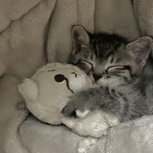 月色未眠茉莉雨.