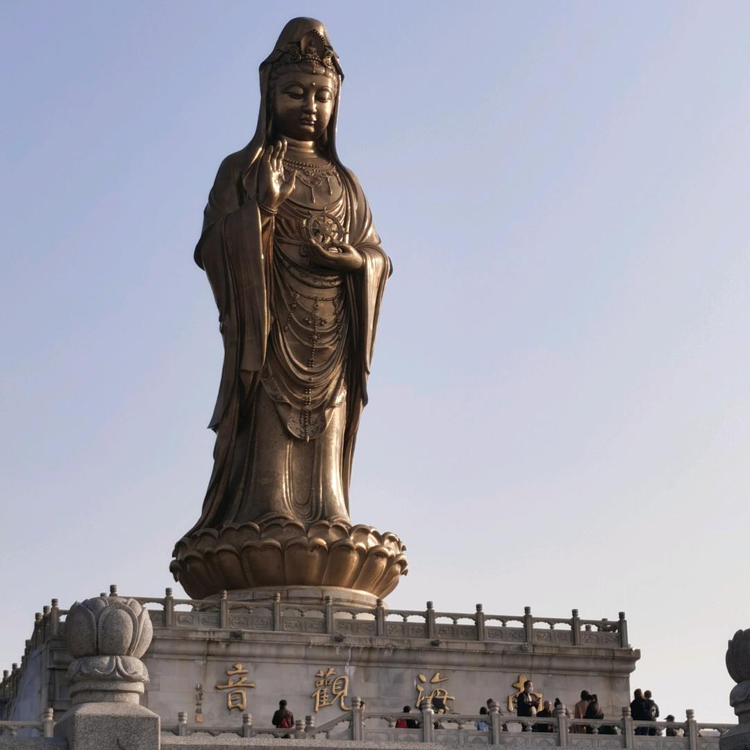 刘念