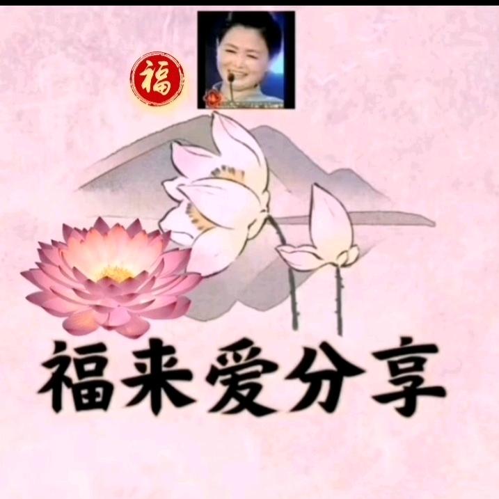 福来爱分享