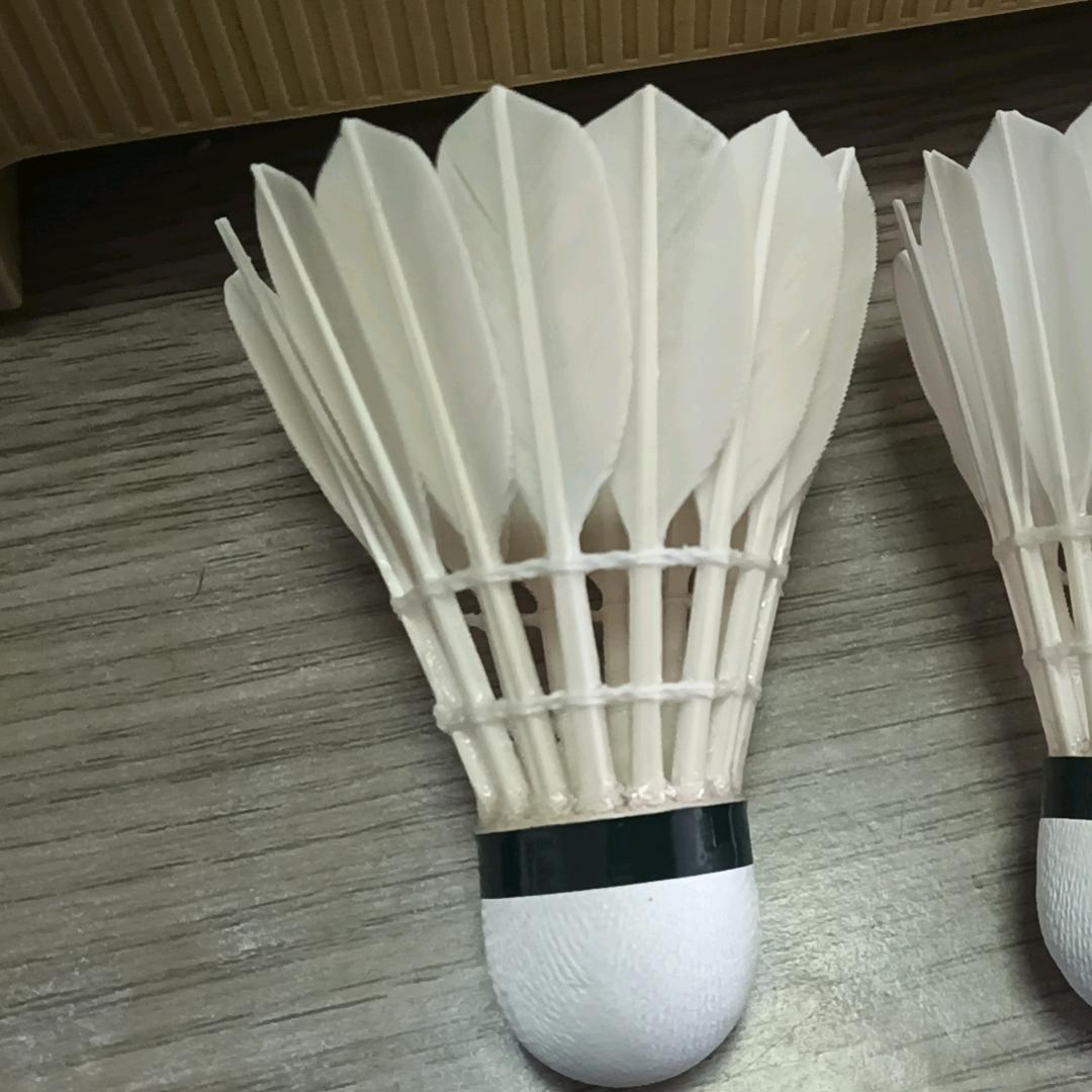 羽你相见（风云飞扬体育优品)