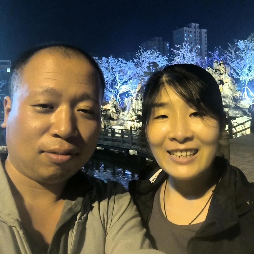 樟树叶
