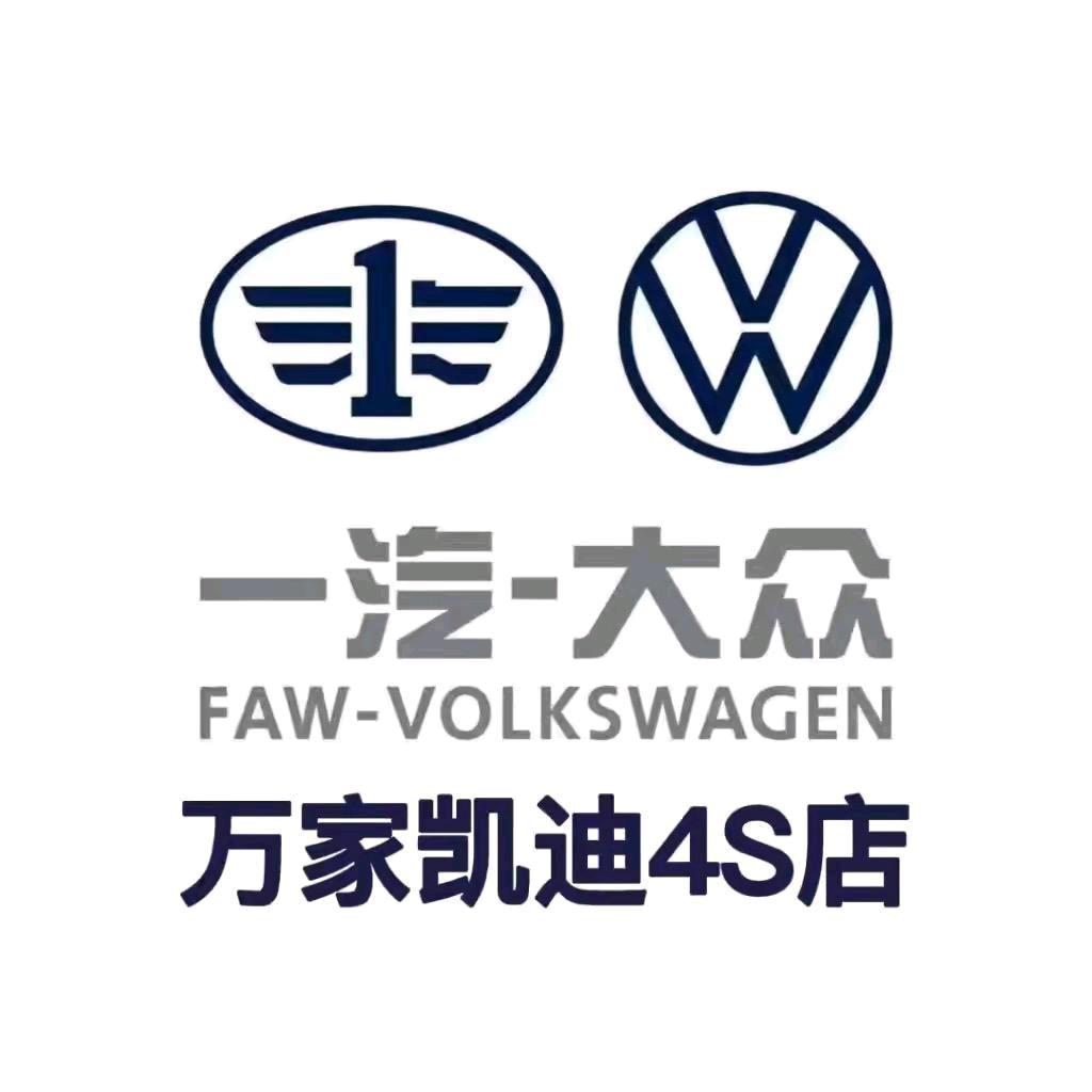 VW-凯迪汽车