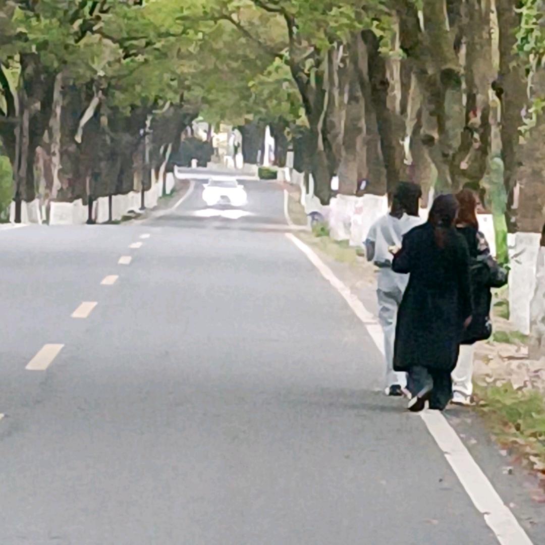 执笔续写承诺
