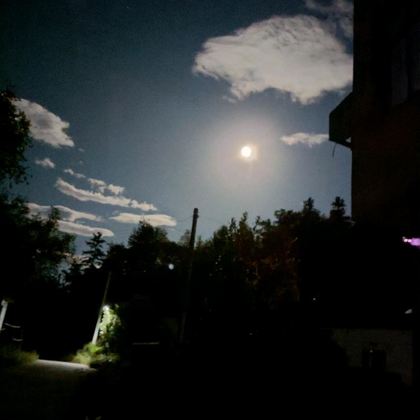 三清山兴旅民宿