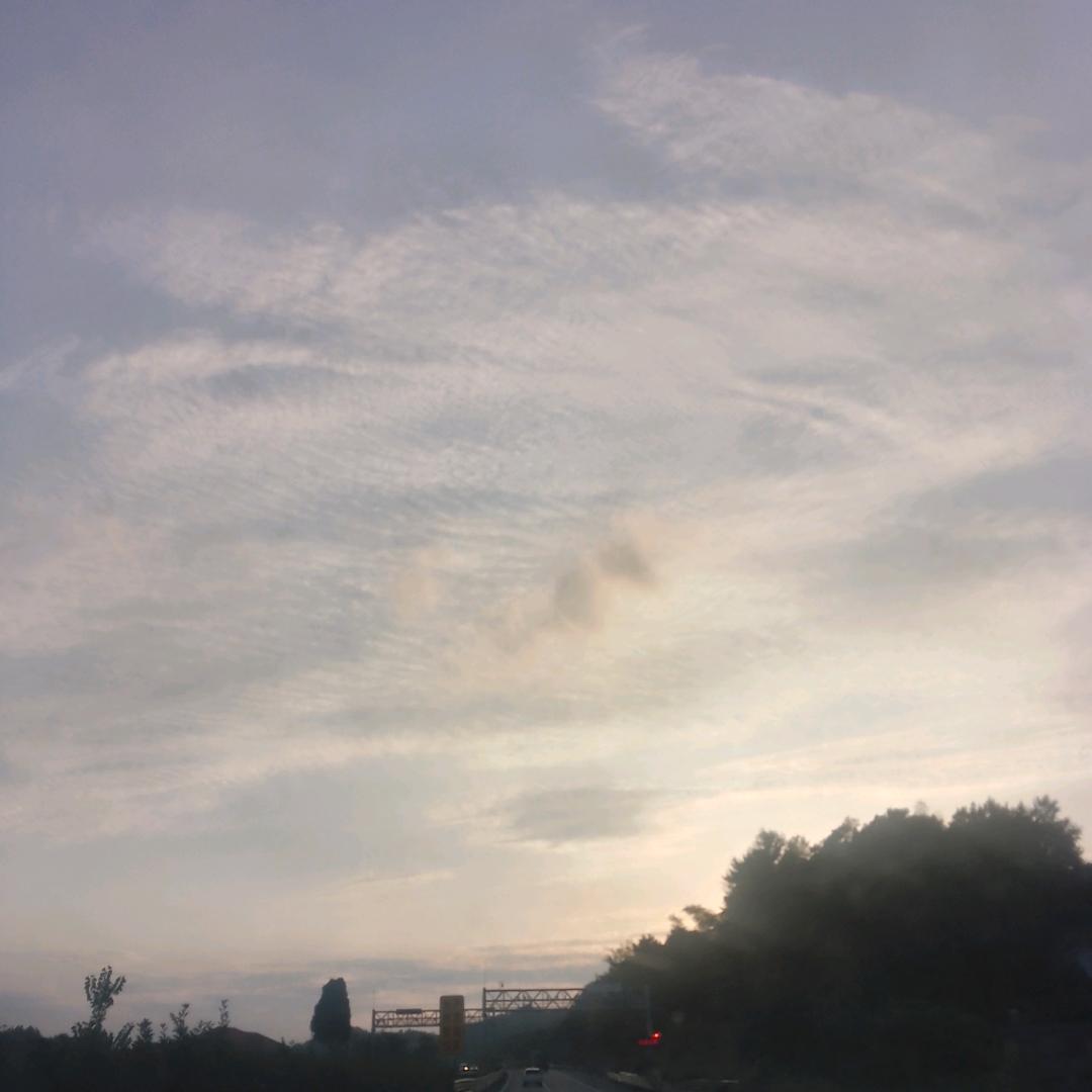 洋溢哥