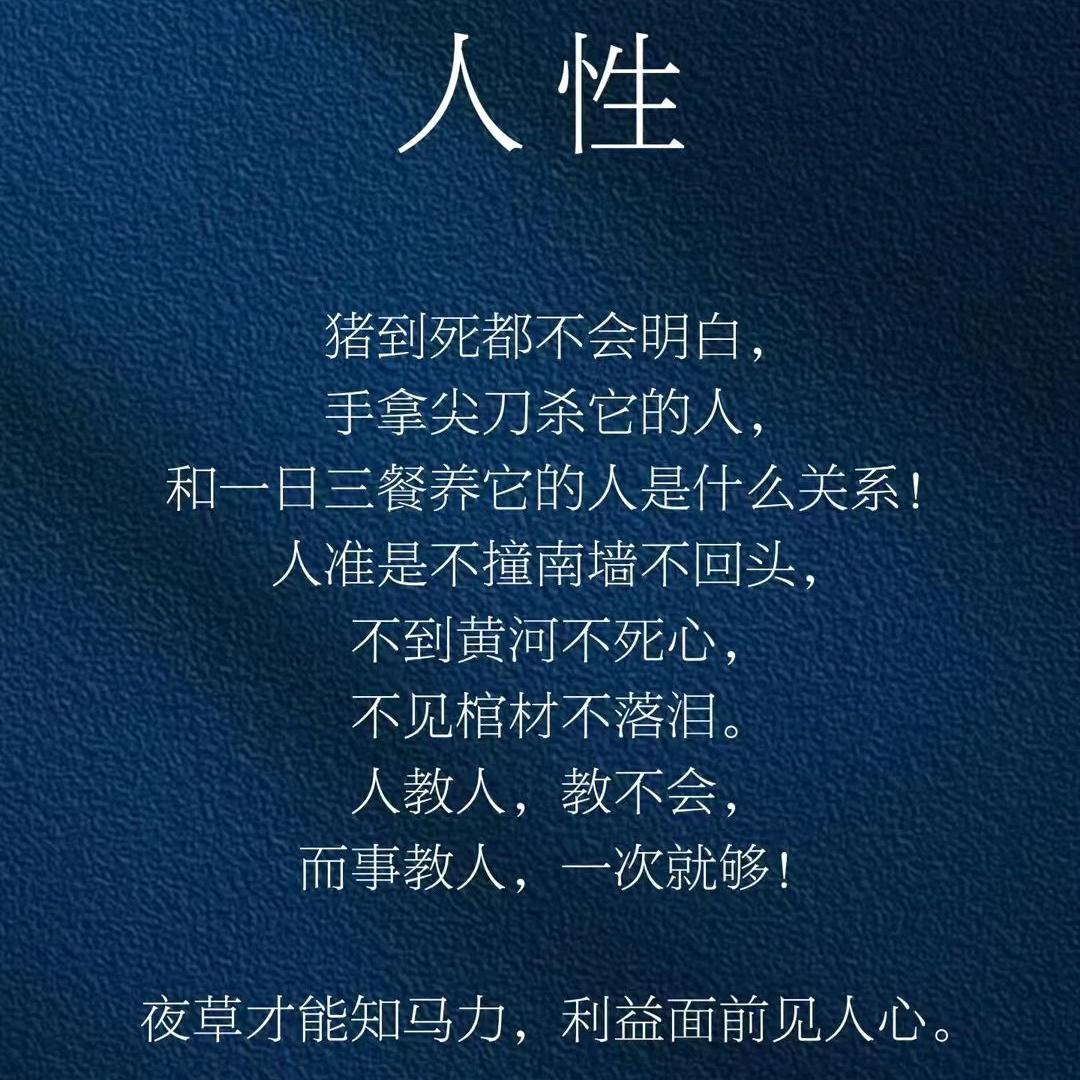 唔，🈚，无。