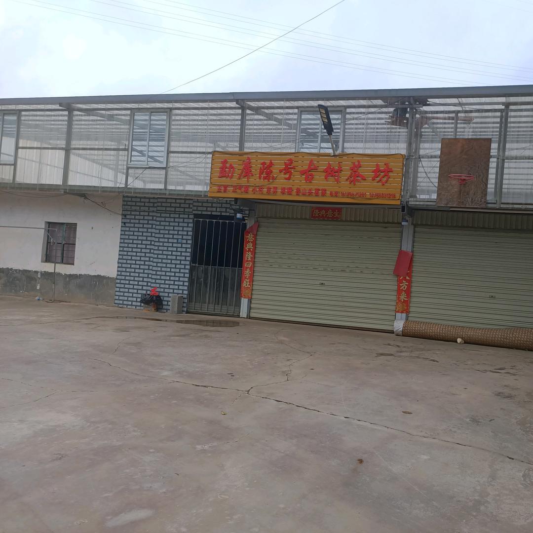 陈号茶坊才哥