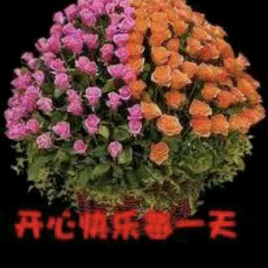 开开心心