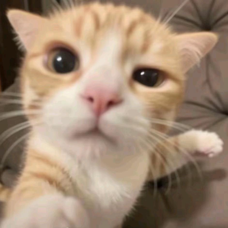 𝓢𝓽𝓪𝓻𝓻𝔂𝓦𝓲𝓼𝓹