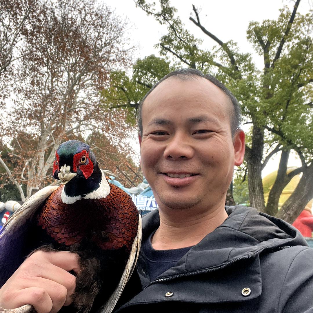 武汉华盈泰园林景观（文旅差异化布局场景）