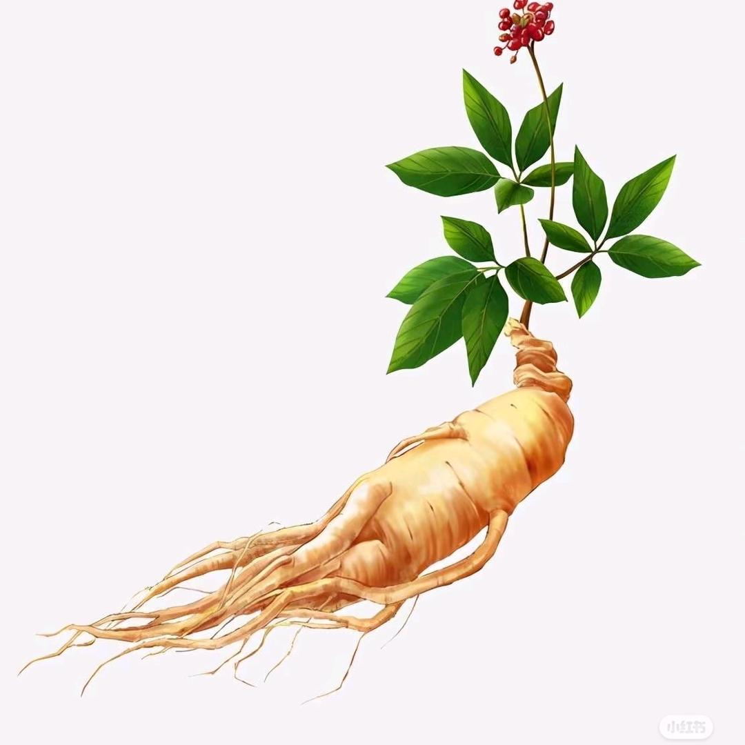 松姐聊生活