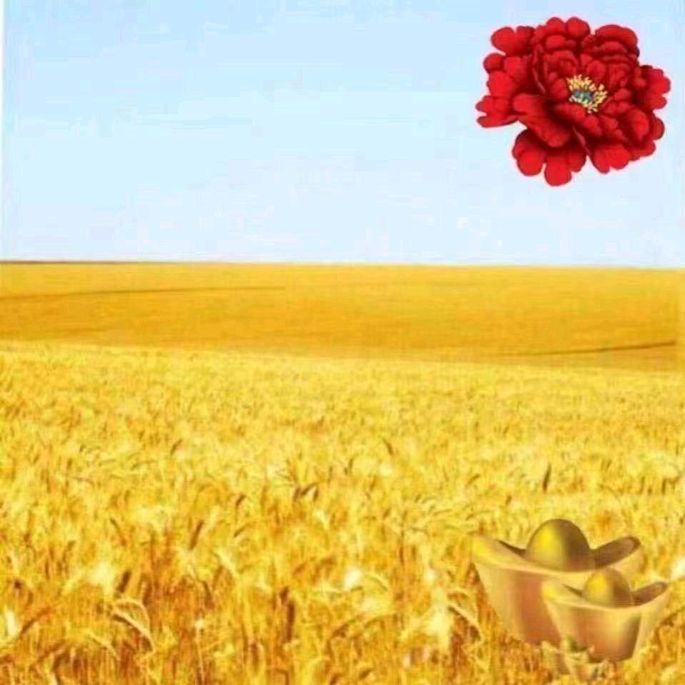 付振芳