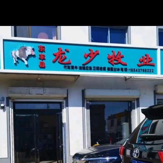 《龙少牧业》精品牛过度场