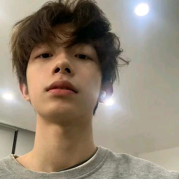 绝育修狗