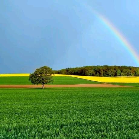 只争朝夕，不负韶华