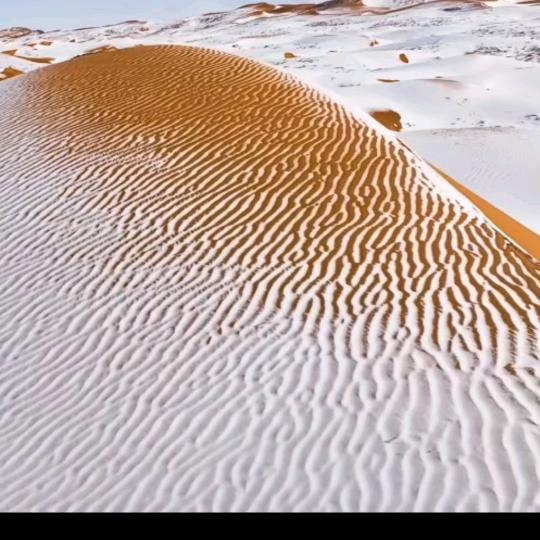 沙漠玫瑰🌹🌹🌹🌹🌹🌹🌹