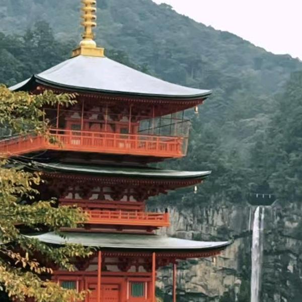平哥