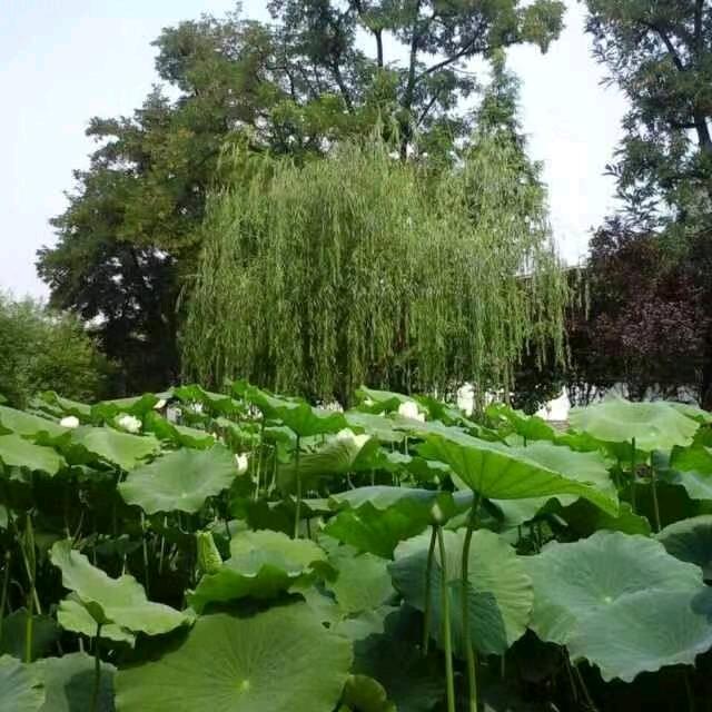 快点来