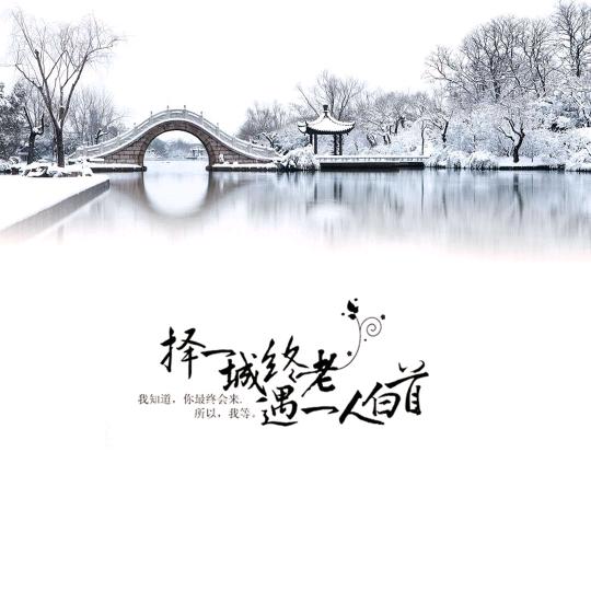 道友