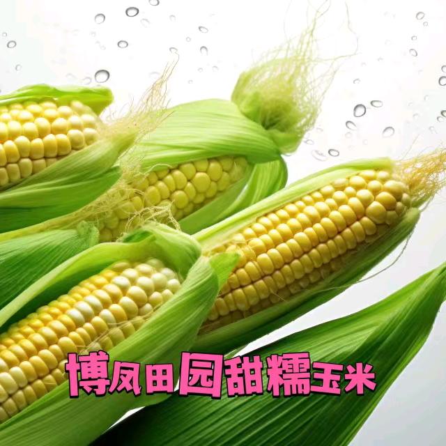 博凤田园玉米
