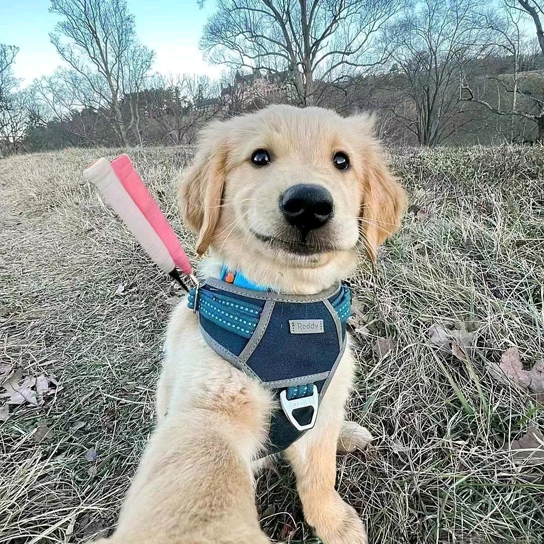 还是乐子人（集赞爬雪山版）