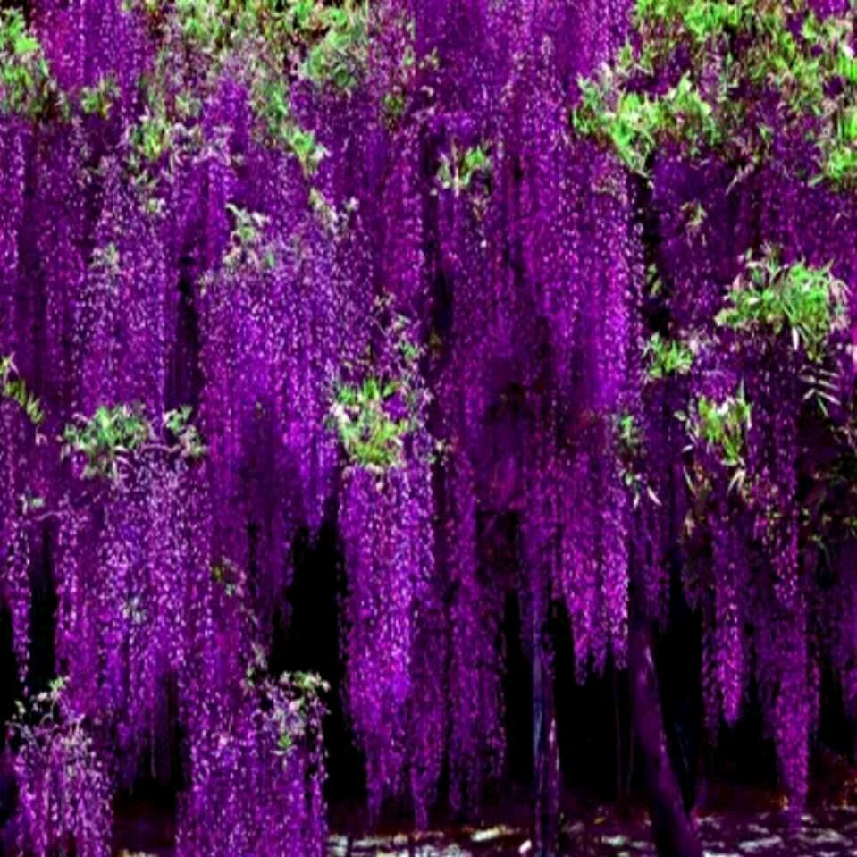 花好月圆