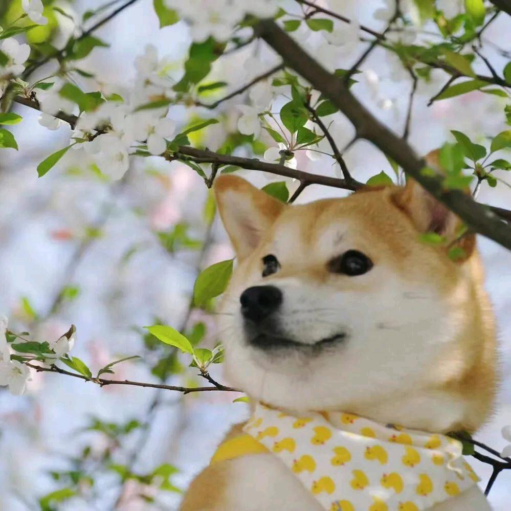 时而