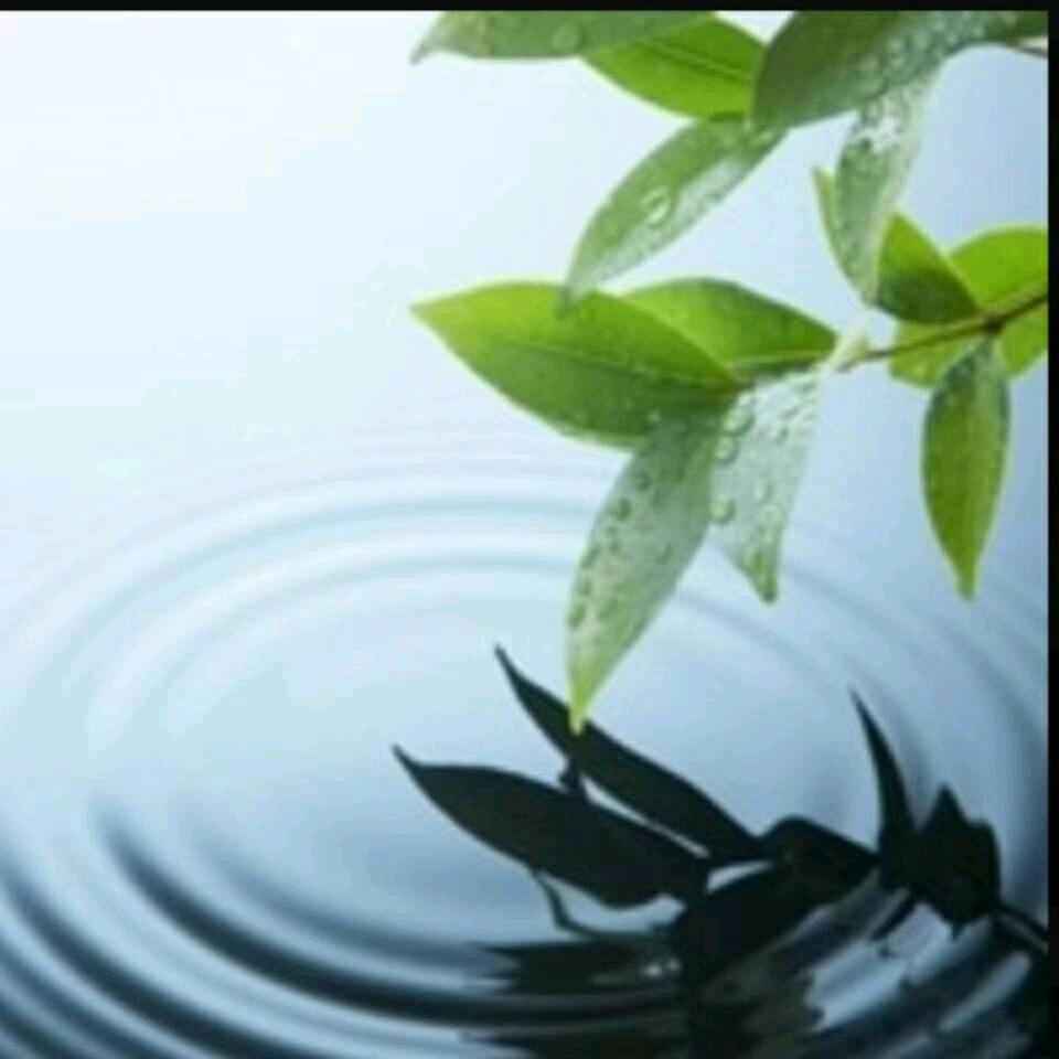 西胡杖子村村书记