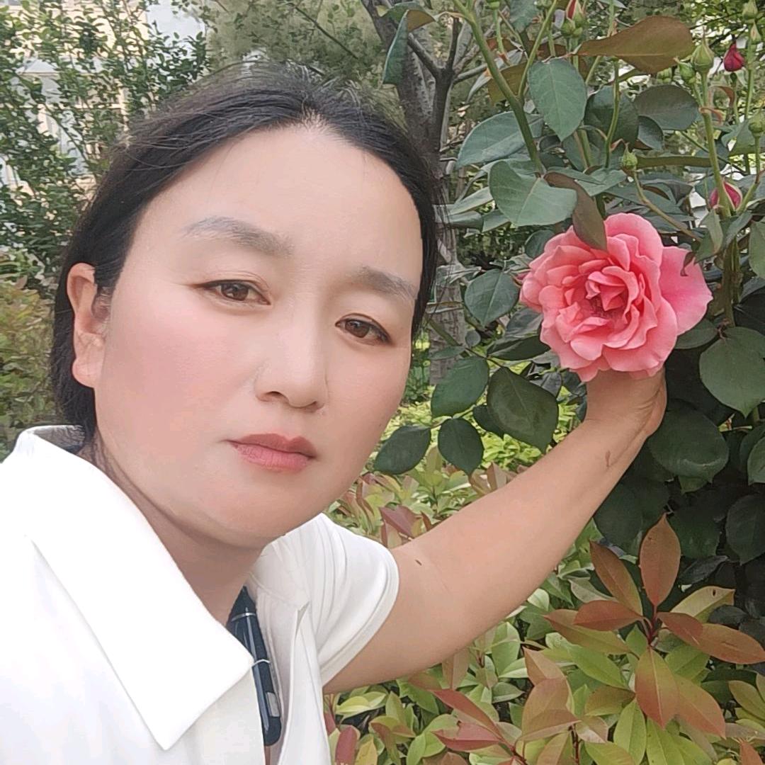 从头开始