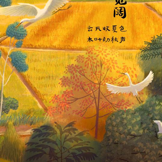 顺其自然