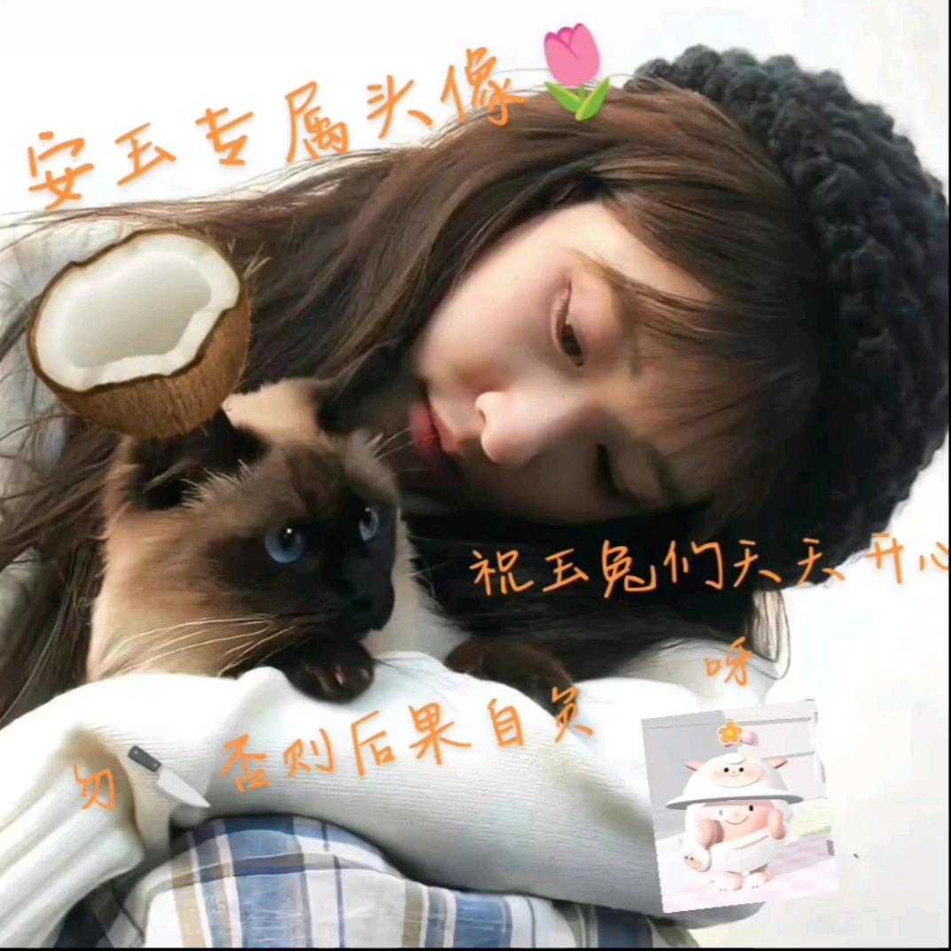 安玉.🎀