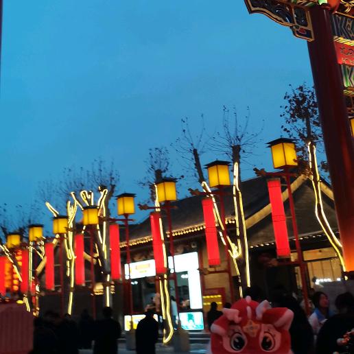 花好月圆，花好月圆我是一个爱唱歌的老太太