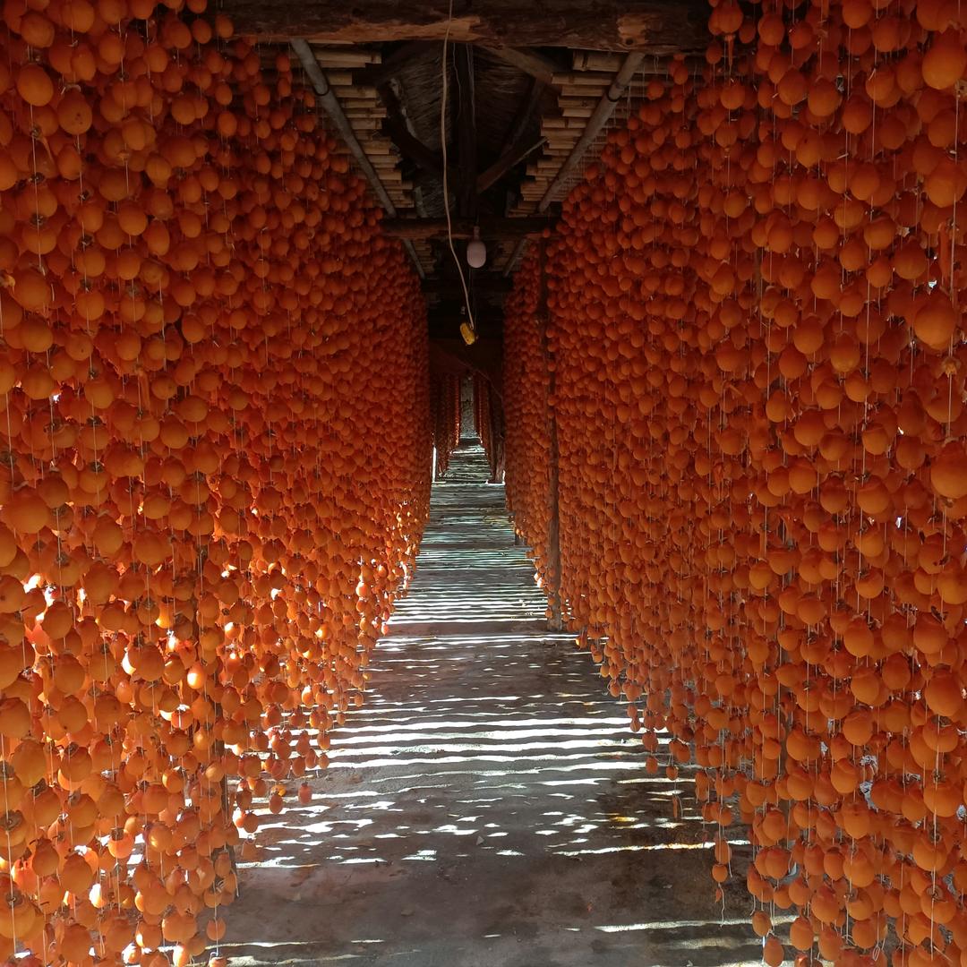 旭田食用农产品农民专业合作社