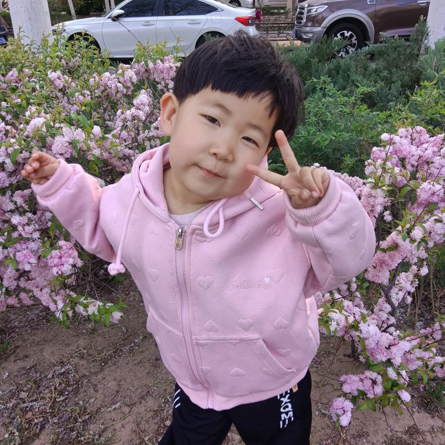 🌻🌻不离不弃🌺🌺