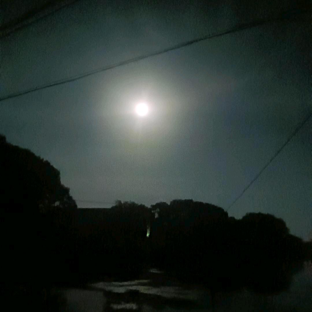 (●✿∀✿●)珍惜