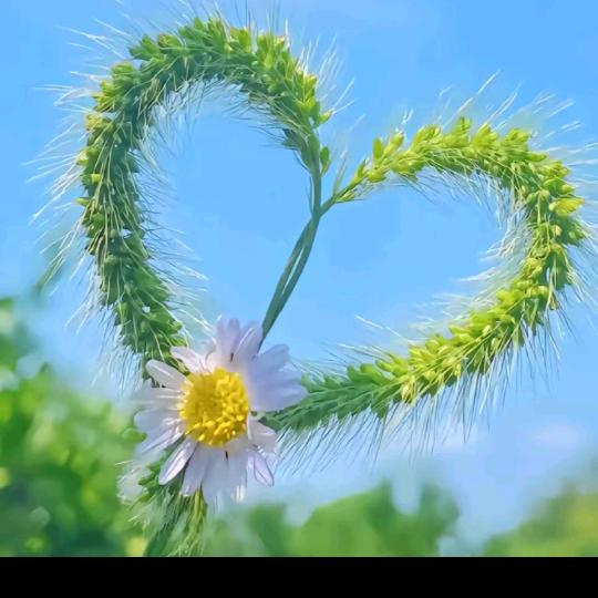 💝一生有你709💝