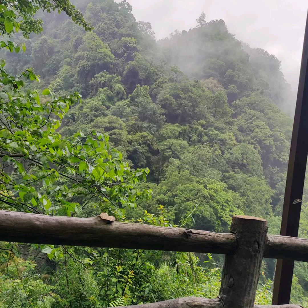 芳姐直播间（18点30分开播）