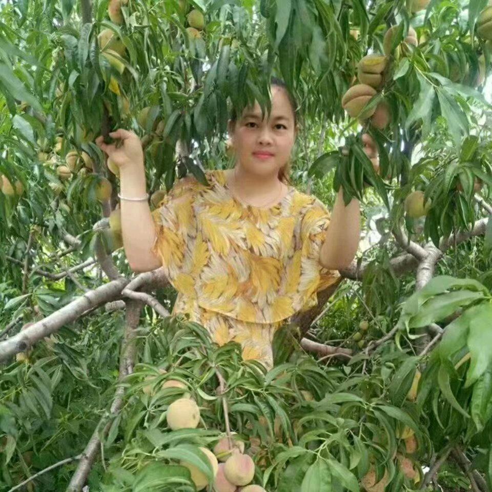 @changyuan