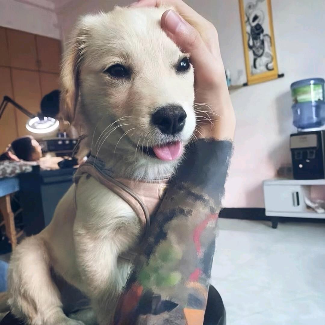 자신을 사랑하다