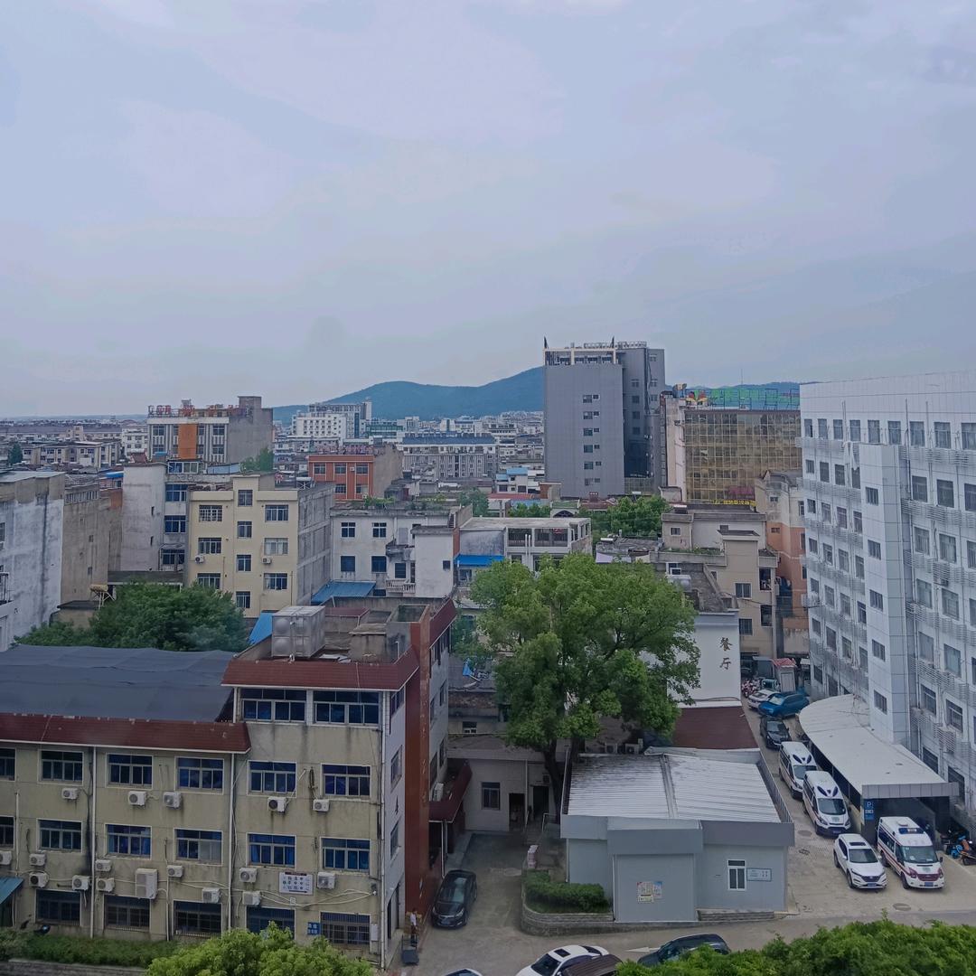 杨姐