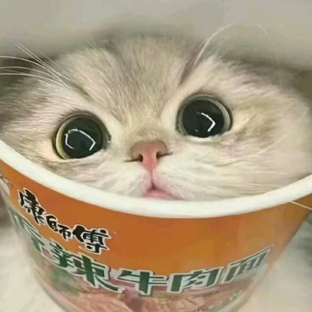 瑞宝大王（已有🐢）