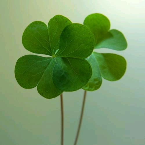 ༈꯭꯭唯꯭爱꯭你2025໊٭ꦿᩚ꯭