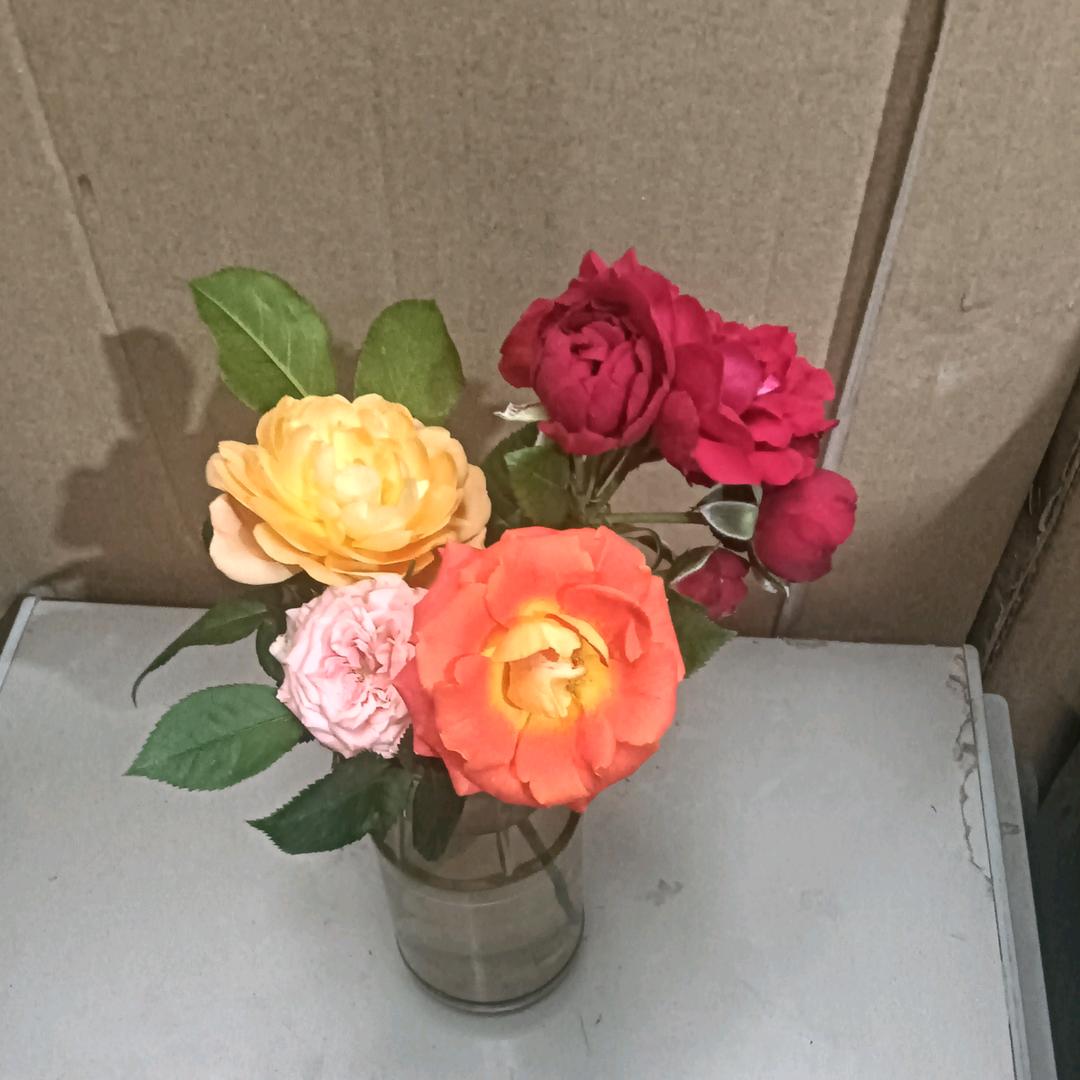 卢洪