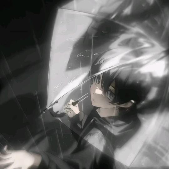 枫