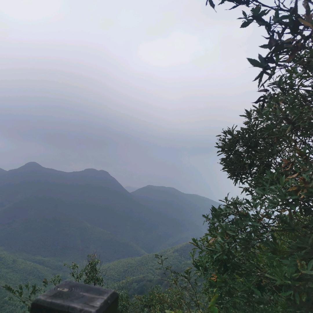 呵呵呵