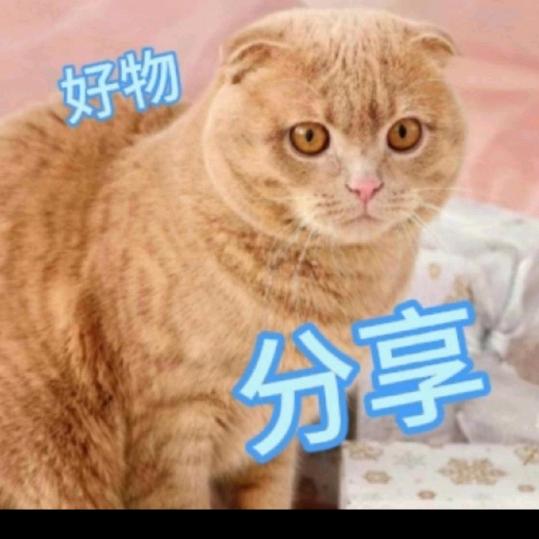 宇娟好物分享